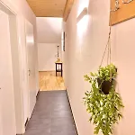 Apartamento Alpine Loft Grimming