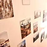 Alpine Loft Grimming Bad Mitterndorf