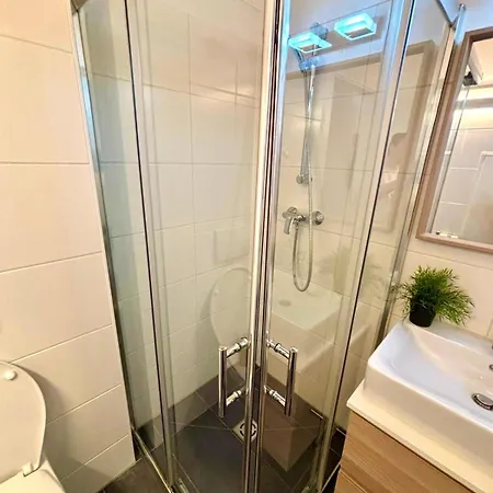 Alpine Loft Grimming 公寓 巴德米滕多夫