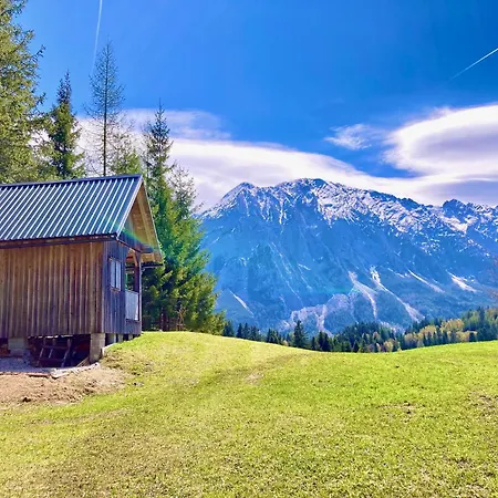 Alpine Loft Grimming Apartment *