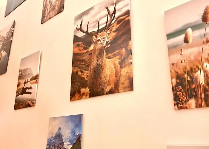 Alpine Loft Grimming