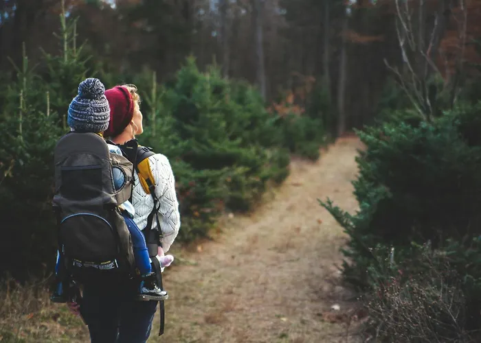 Lägenhet Alpine Loft Grimming