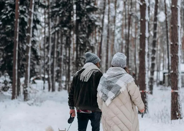 公寓 Alpine Loft Grimming 巴德米滕多夫